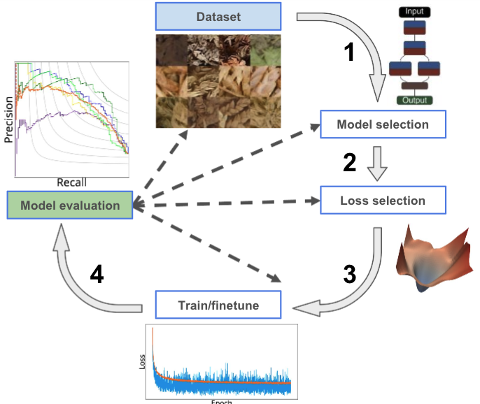 A flowchart depicting the process of training an AI model to recognize variables in pressed plant specimens